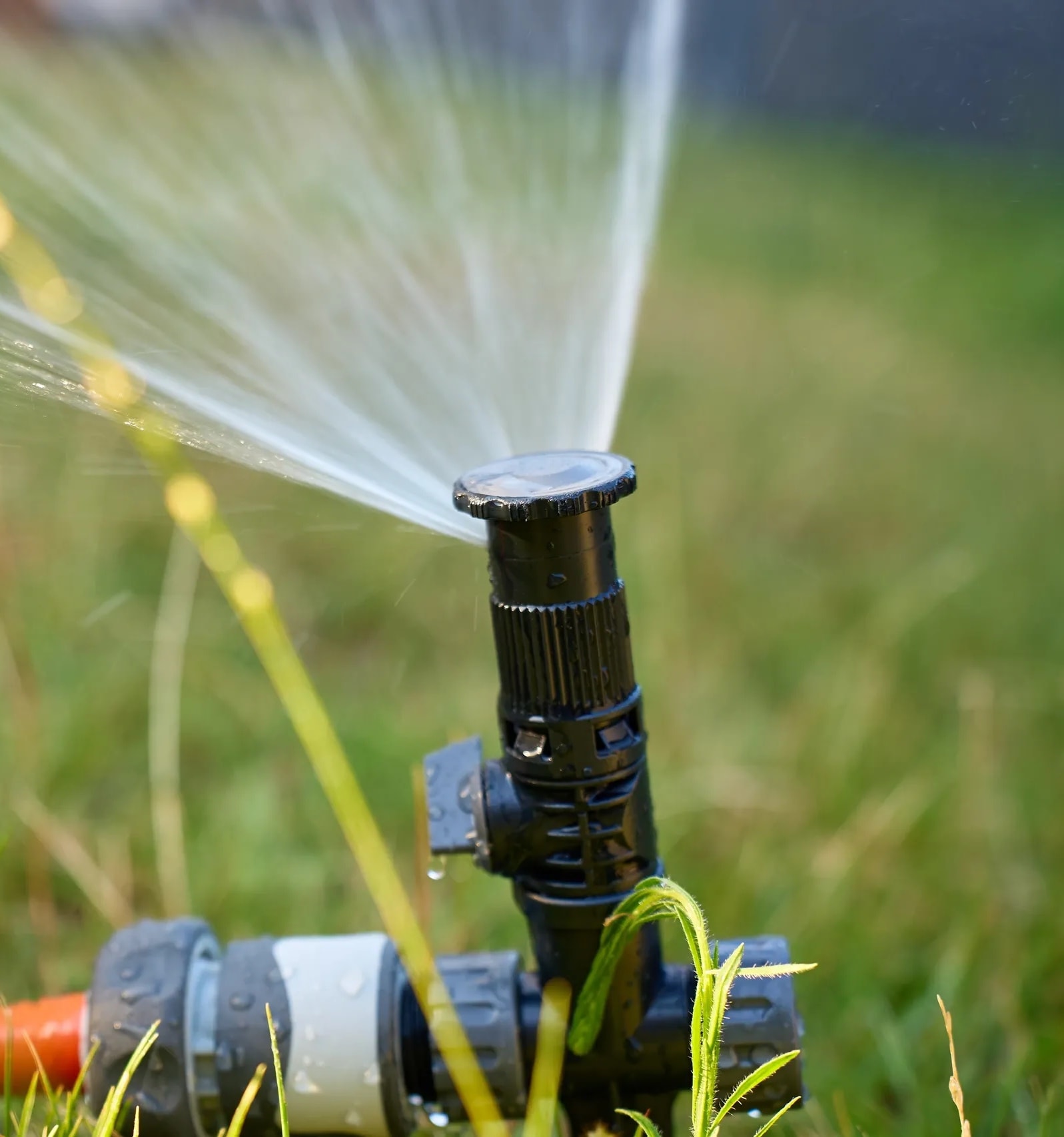 Residential irrigation and plant maintenance